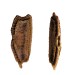 Ramulus Nematodes